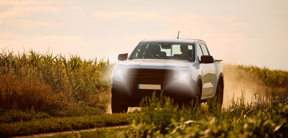 Este artículo sirve de guía sobre las camionetas pick up: cuáles son sus características y qué beneficios brinda para las empresas.